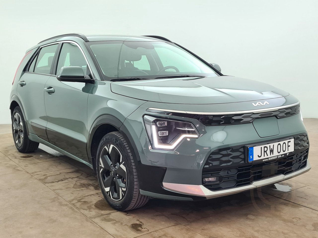 Kia Niro EV Action