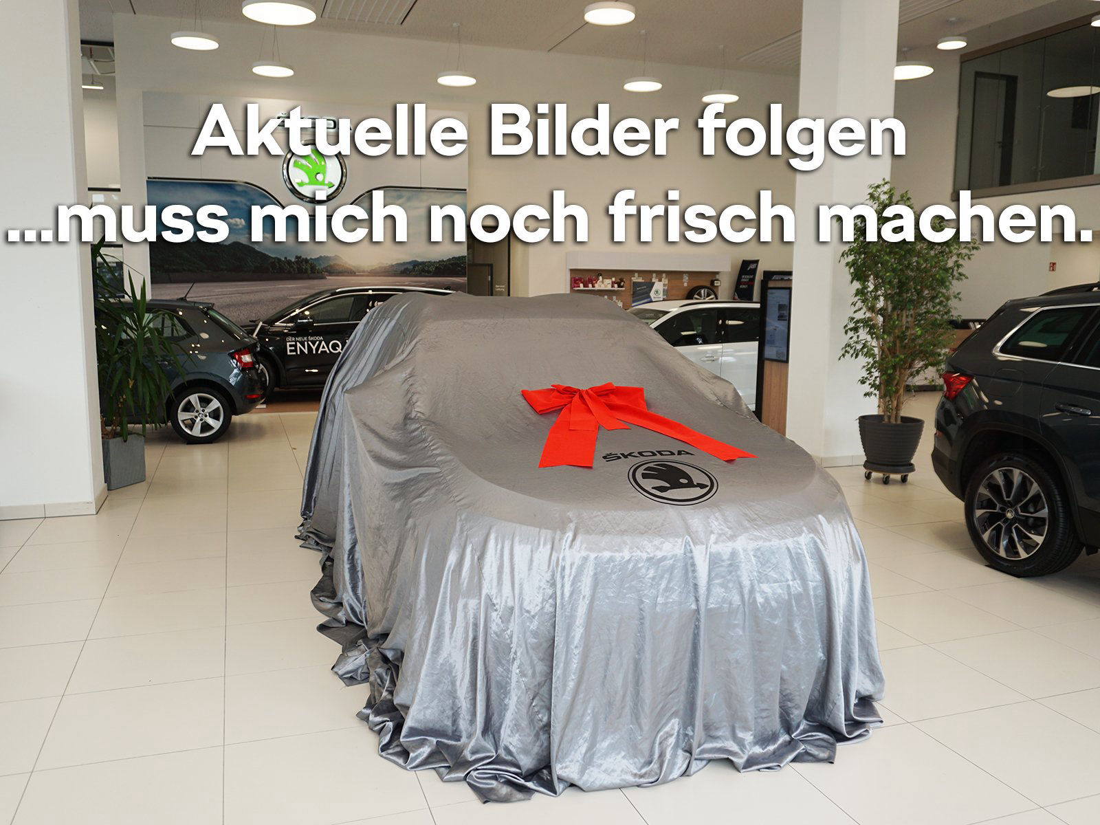 ŠKODA ENYAQ iV 80 Lounge 204 PS DAB MATRIX AHK PDC