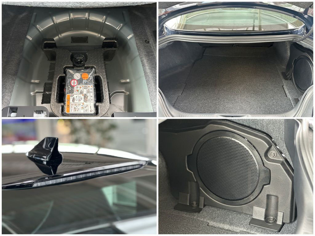 Ford Mustang 5.0 V8 DARK HORSE Autom. RECARO