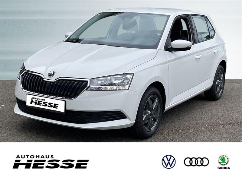ŠKODA FABIA 1.0 MPI Cool Plus, Klima, Sitzhzg.
