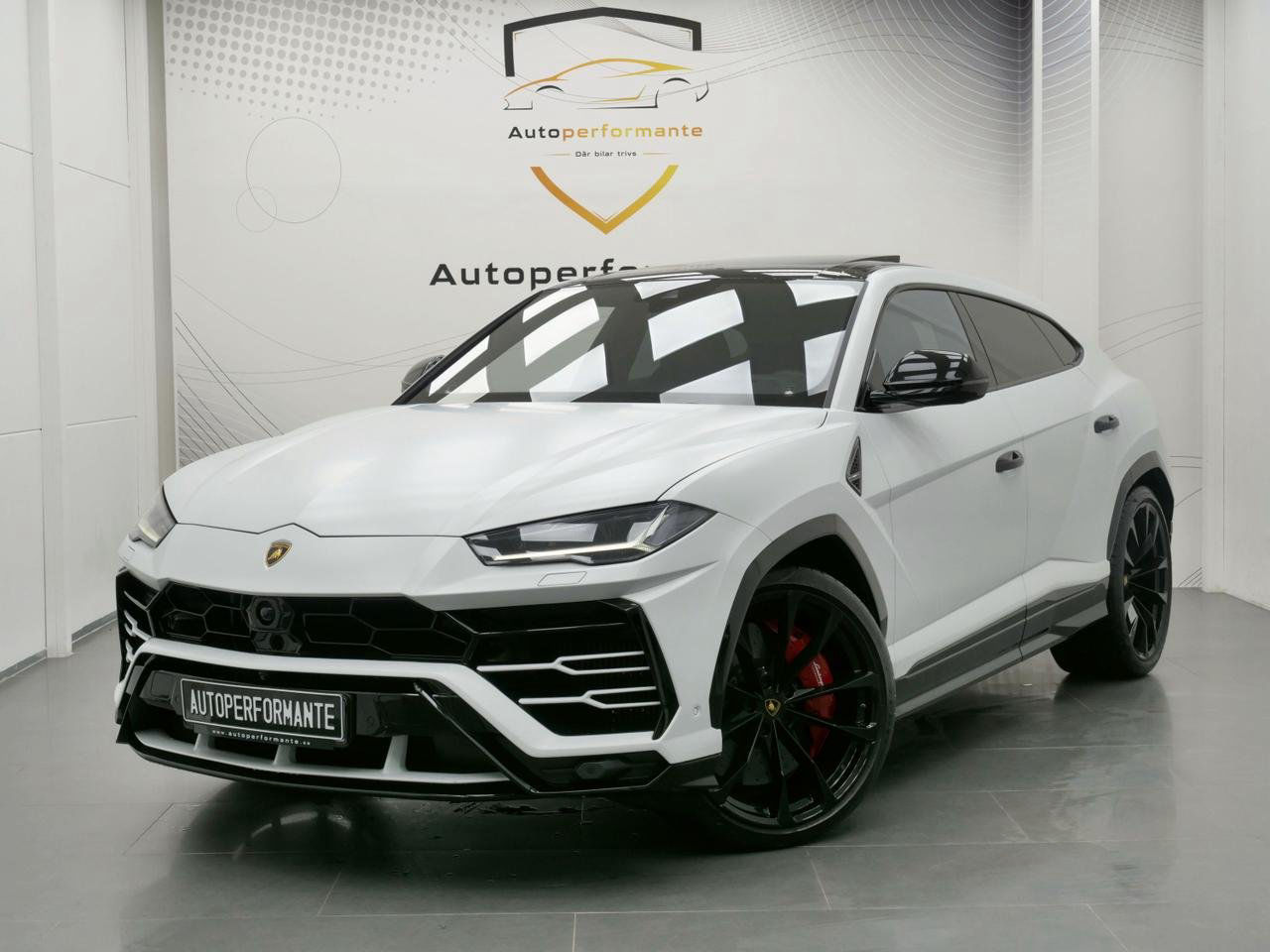 Lamborghini Urus V8 - topdriveclub.com