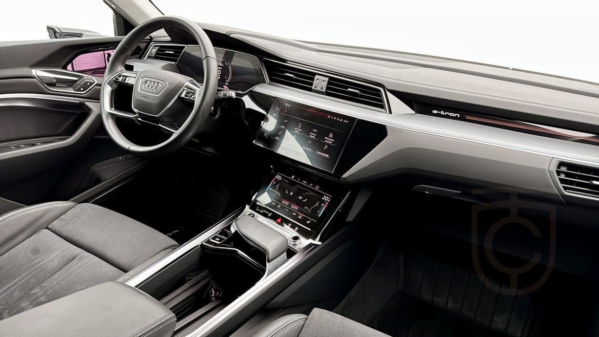 Audi Q8 55 e-tron quattro Selection Panorama