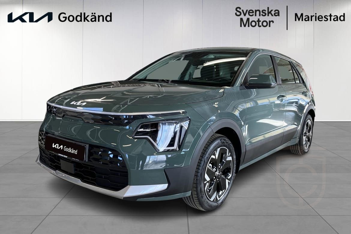 Kia Niro EV Action