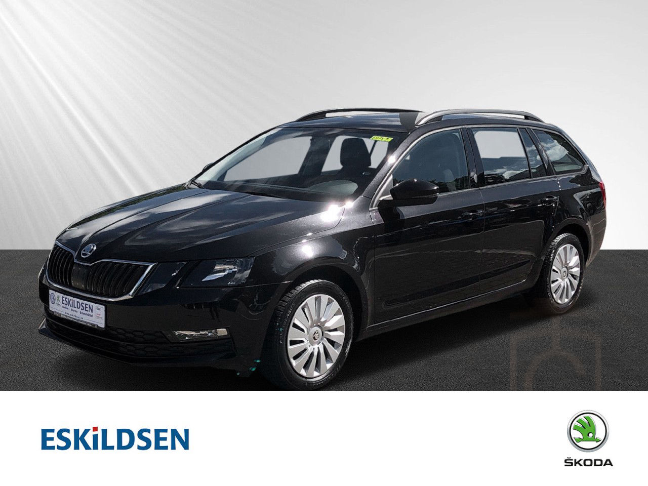 ŠKODA OCTAVIA COMBI Active 1,0 TSI Nebel, Einparkhilfe