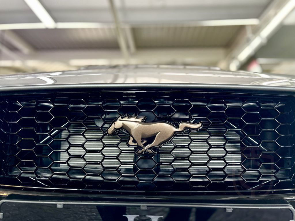 Ford Mustang 5.0 GT Cabrio Autom Bronze Pak MagneRide