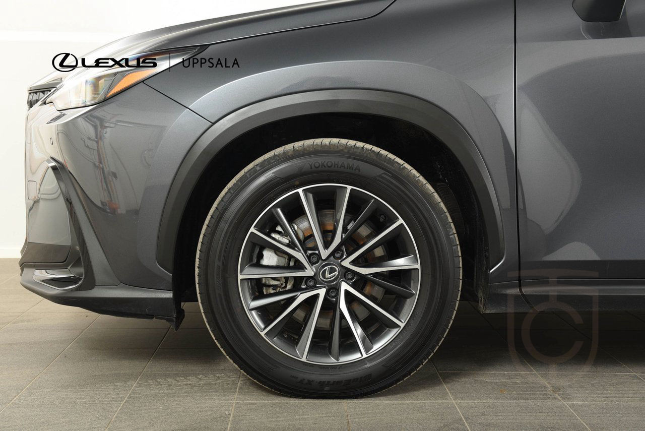 Lexus NX 450h+ Business Plus Plug-In
