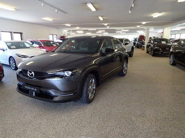 Mazda MX-30 Sky 100 % EL