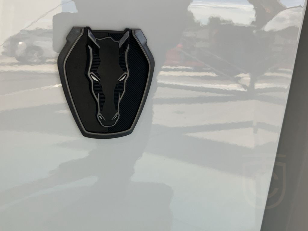 Ford Mustang DARK HORSEACC*MagneRide*B&O*NAVI *TWA*LM